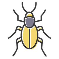 Уничтожение мукоедов